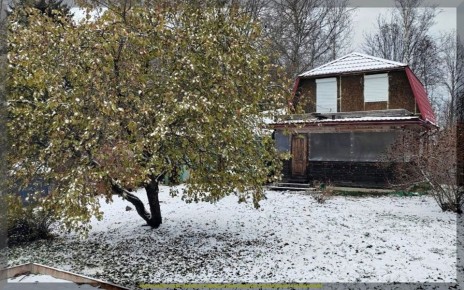 Как подготовить дачу к зиме: советы для садоводов