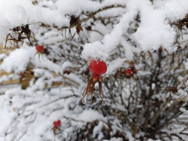 Резкое похолодание ожидается со следующей недели в Удмуртии