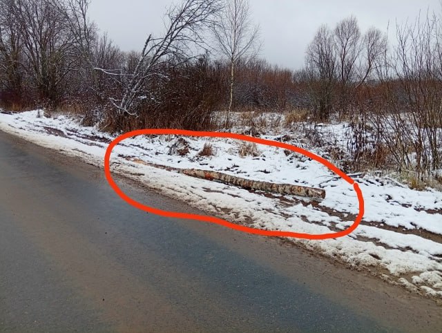 Жители деревни в Удмуртии пожаловались на выпадающие из лесовозов брёвна