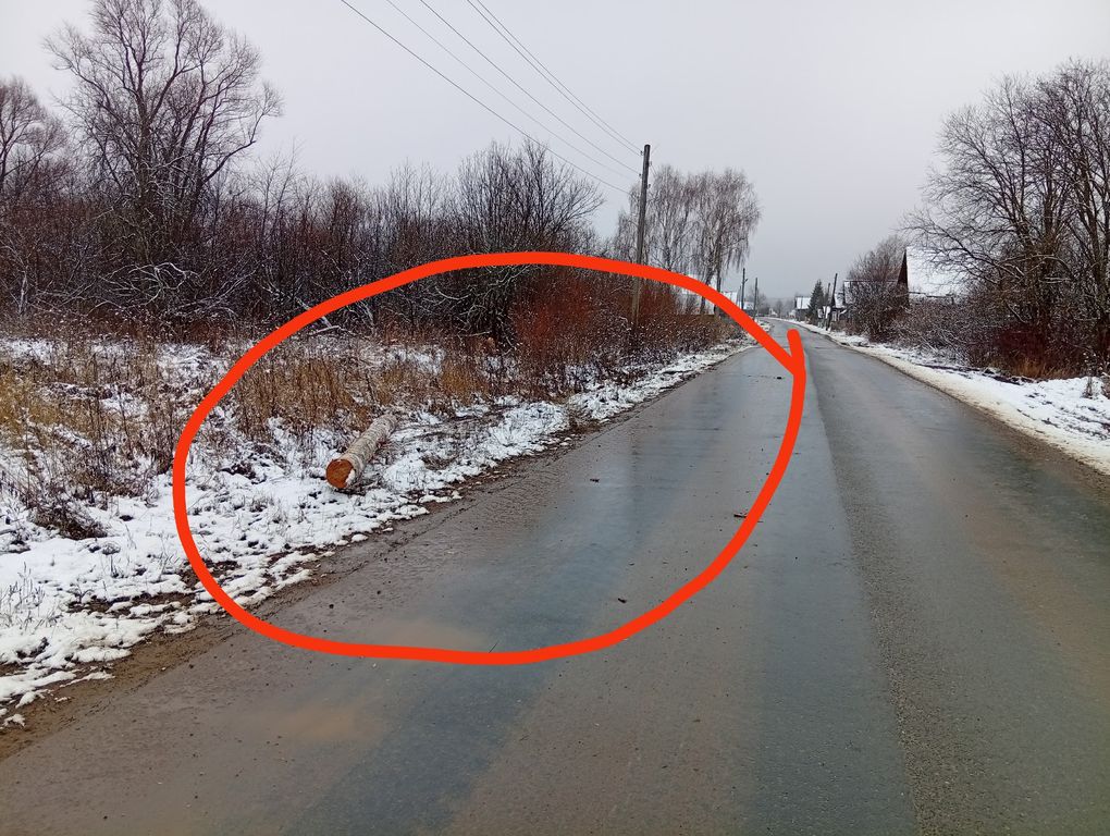 Жители деревни в Удмуртии пожаловались на выпадающие из лесовозов брёвна Жители деревни в Удмуртии пожаловались на выпадающие из лесовозов брёвна