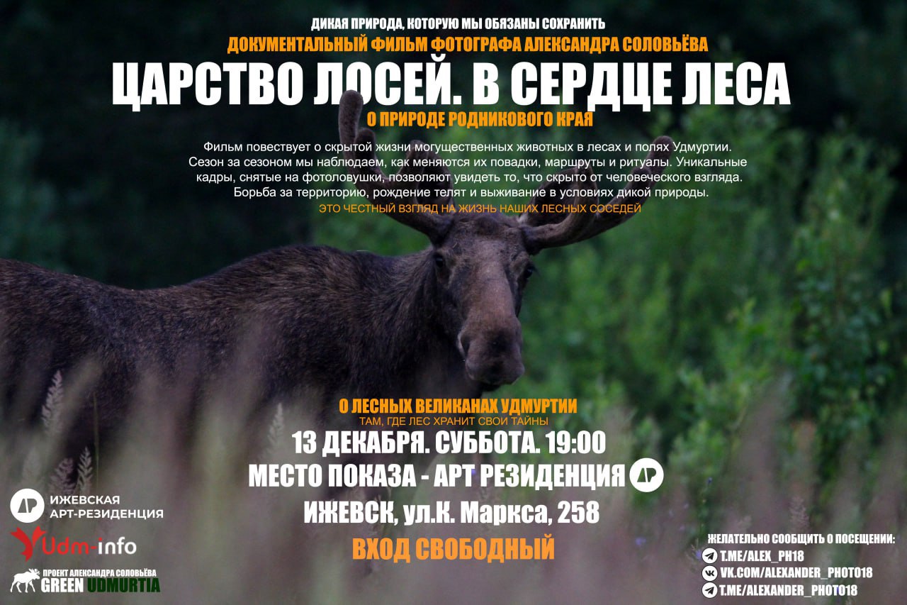 В эти выходные в Ижевске состоится показ документального фильма фотографа дикой природы Александра Соловьёва под названием «Царство лосей. В сердце леса»