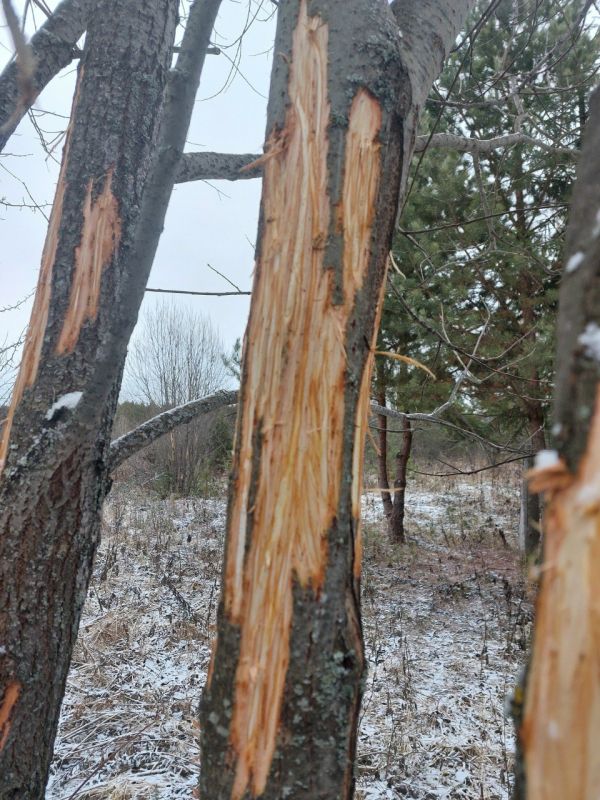 ����� �������� � �������� ����������� �� ���� ����� �������� ������������ �������