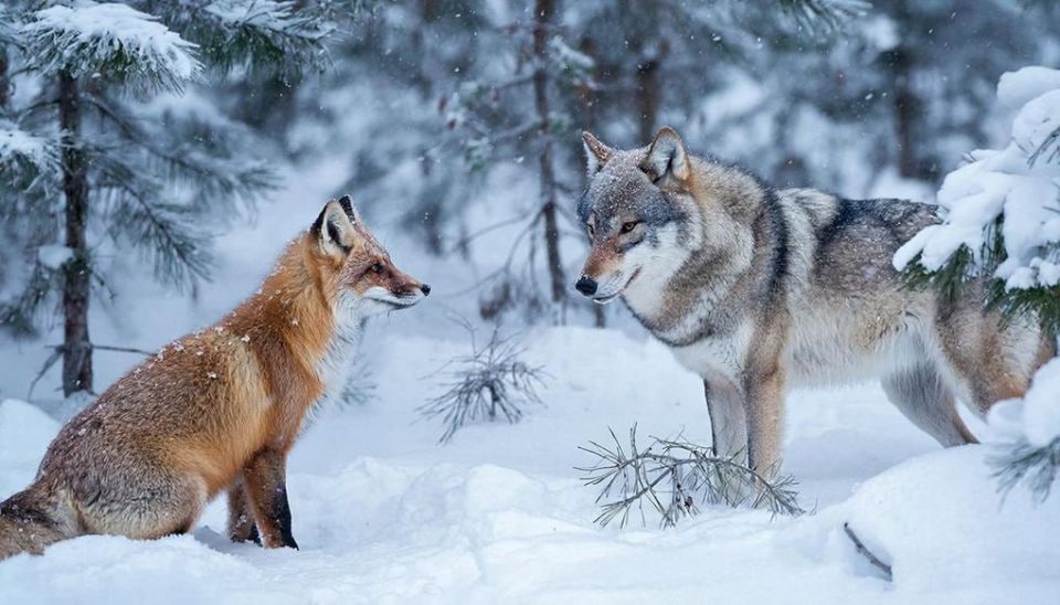 ������� ������ ��������� �� ������� ������ � ����� ���������� � ��������