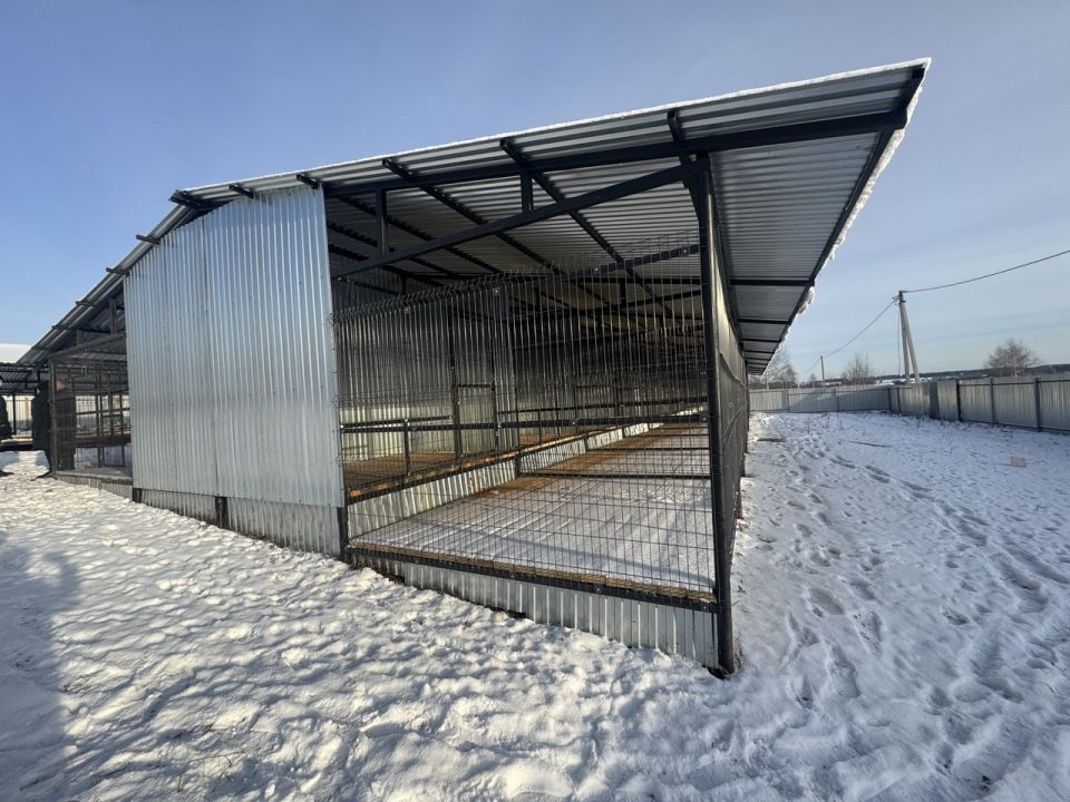 20 �������� ��� ��������� ����� ��������� � ����������� ������ �������