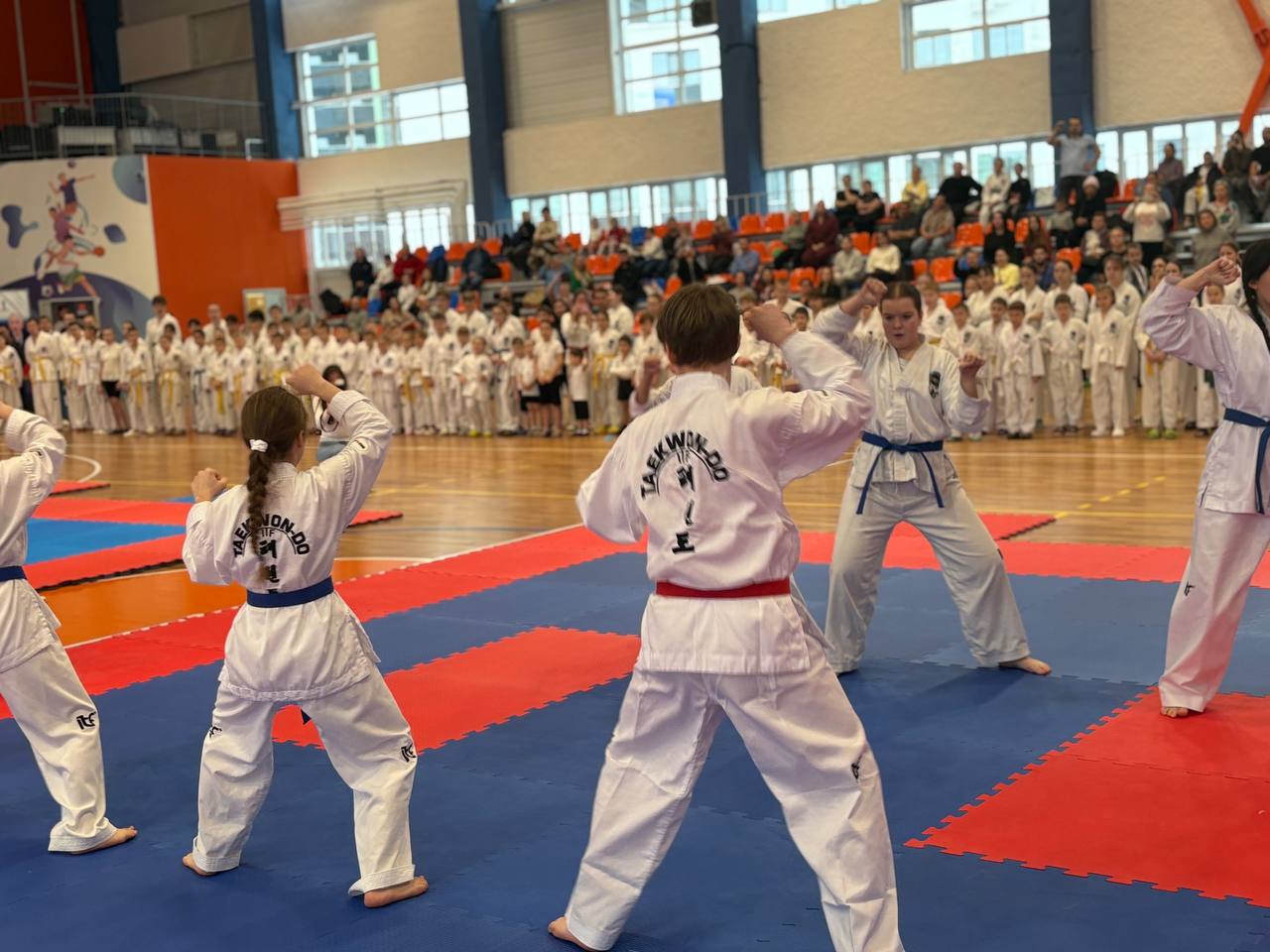 В Ижевске состоялся детский турнир по тхэквондо МФТ на Кубок руководителя следственного управления В Ижевске состоялся детский турнир по тхэквондо МФТ на Кубок руководителя следственного управления