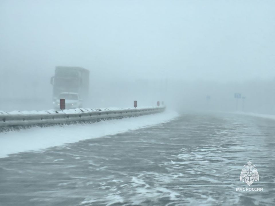 Метель, сильный снег #погода