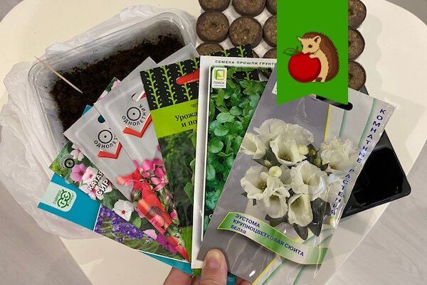 ��� ������� � �������: ������� ������� � ������ ������