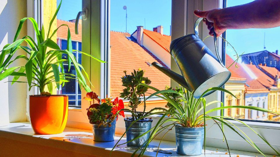 ���� �� ��������� ������ �� ��������� ����������: ������ ������ ���� � �������� ������