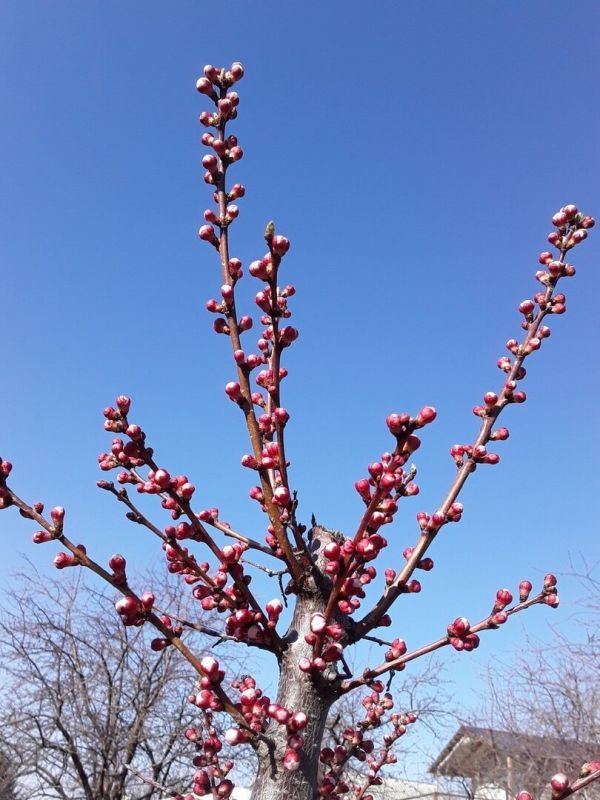 ������� �������� ������: ��� �������� ����� ������� ����� ����� ����