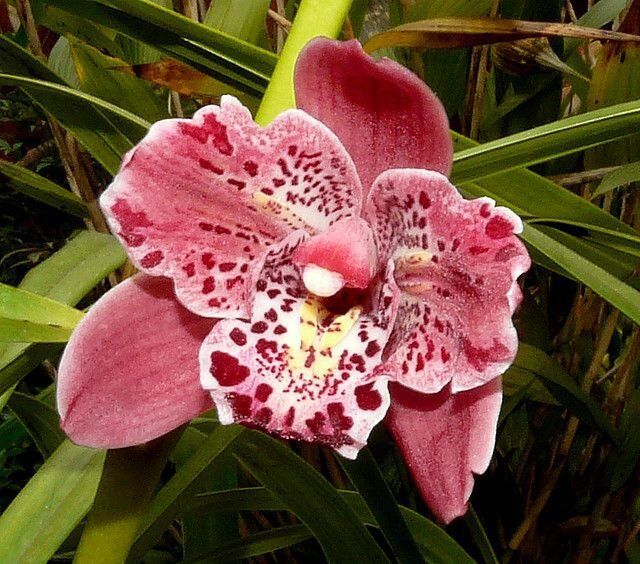 ������� � ����� ����: ������� ��������� ����� �� ������������� ����������