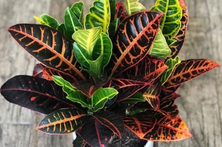 �������: ����� ������ � ����� ����