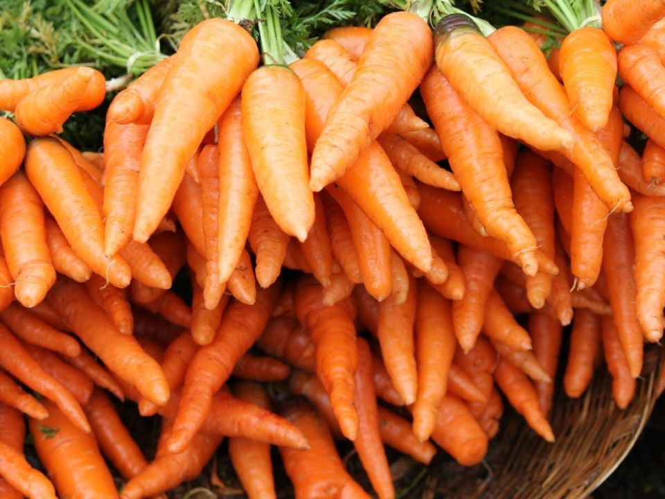 �������: �������� ����������� ��� ��������� ������