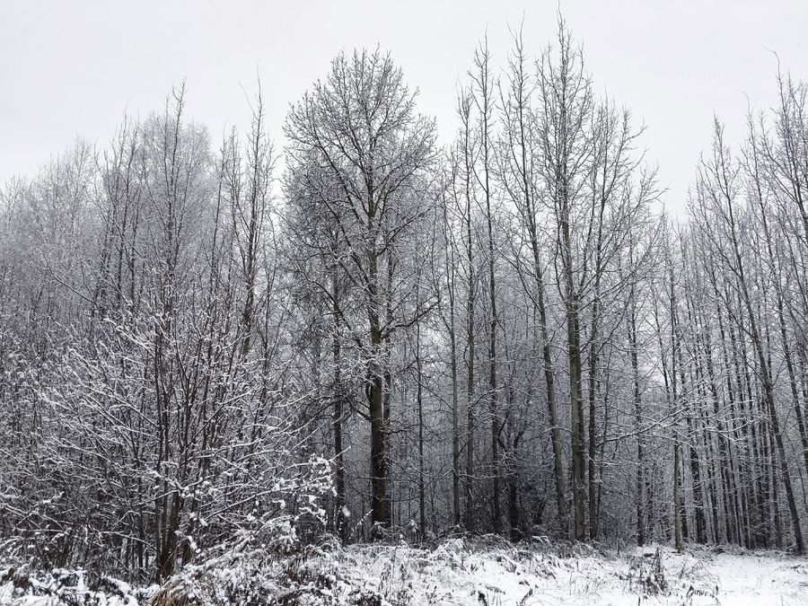 26 ������� � �������� ��������� �������� � ������������ ����� ������, �������� � ������������ ���