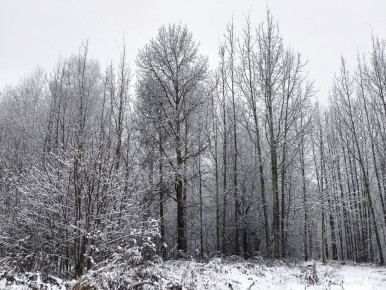 26 ������� � �������� ��������� �������� � ������������ ����� ������, �������� � ������������ ���