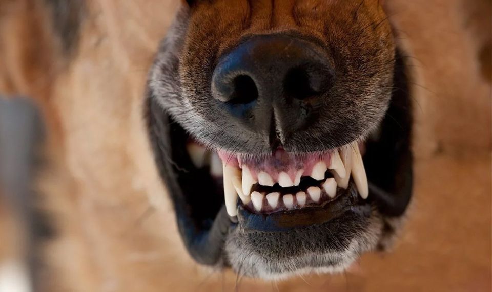 ���� ������: ��� ����� ����� � �������� ��������������� � ��������� � ���������� ��������?