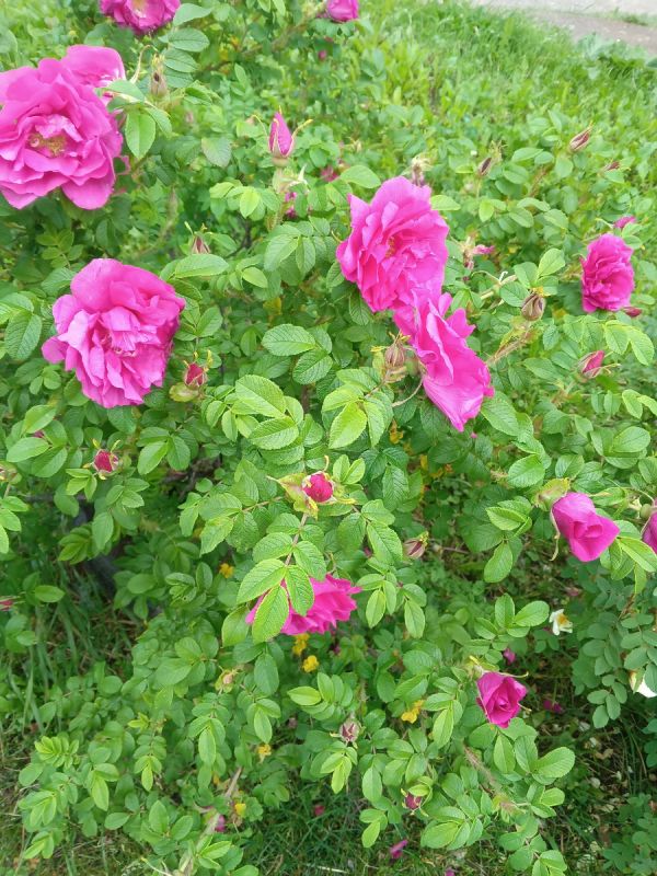 ������ ��� ���������: ��� ����� �� ������������ � ������� ������� �����