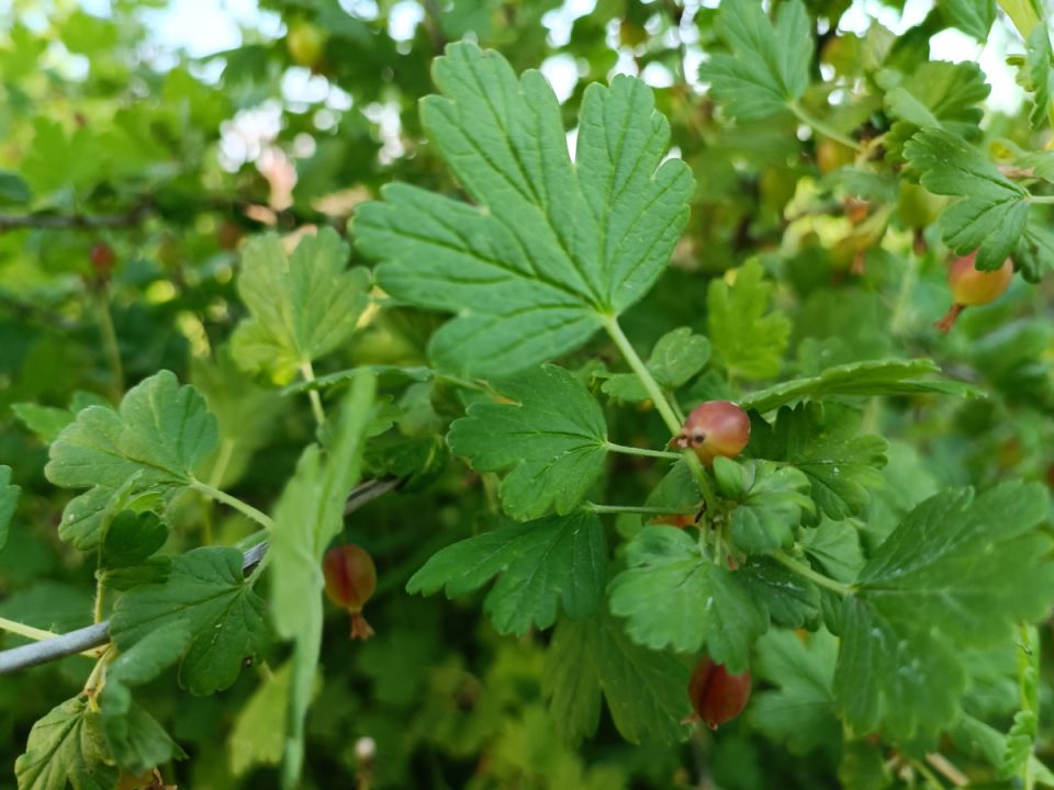 ��� ���������� � ���������� � ����: ������� ������� ����