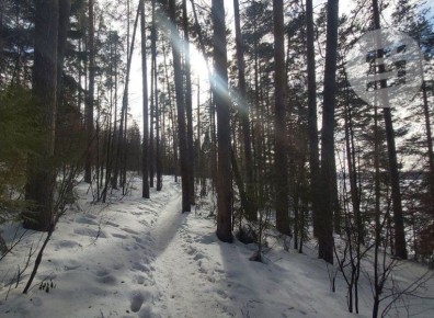 �� ����� �������� � 2025 ���� ������� 65 ����� ���������� �������� � ������� ��������