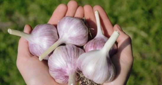 ��� ��������� �������� ������: ������� �������� ��������� � ����