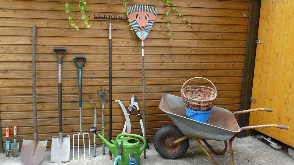 ����������� ���� �� ���������: ������ ��������������