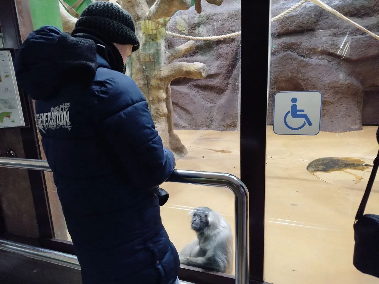 В рамках ежегодной Всероссийской акции «Полицейский Дед Мороз» представитель Общественного совета при республиканском МВД Светлана Малышева — директор государственного Зоопарка Удмуртии организовала увлекательную экскурсию... В рамках ежегодной Всероссийской акции «Полицейский Дед Мороз» представитель Общественного совета при республиканском МВД Светлана Малышева — директор государственного Зоопарка Удмуртии организовала увлекательную экскурсию...