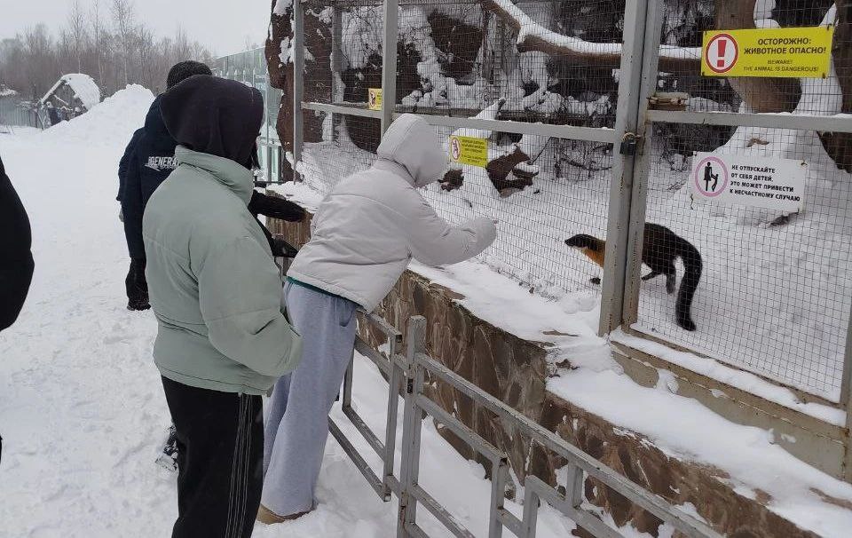 В рамках ежегодной Всероссийской акции «Полицейский Дед Мороз» представитель Общественного совета при республиканском МВД Светлана Малышева — директор государственного Зоопарка Удмуртии организовала увлекательную экскурсию...