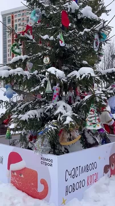 В Парке Тишино в зимние каникулы прошла праздничная программа для детей (0+)