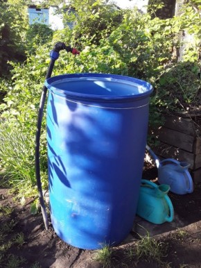 Путь к идеальной лейке: от растущей страсти к незаменимому инвентарю