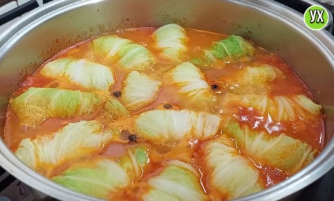 ������� ������������: ������� ������� � ������� � �������� ������