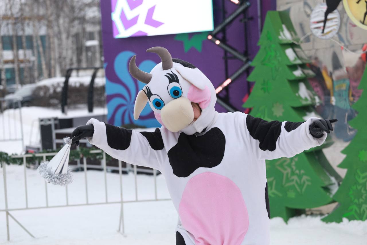 Завершился новогодний фестиваль «Ижевские чудеса» Завершился новогодний фестиваль «Ижевские чудеса»