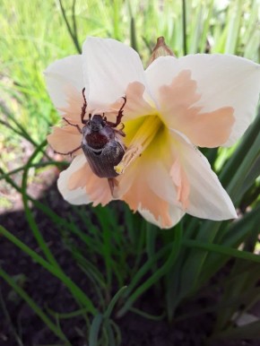 ��� ������� ��������� ��� �� ��� ������: 7 ������������� ��� ��������� ���