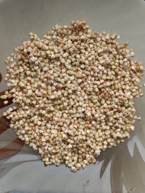 ����������� ������� ������: ������� ������������ � ���� ��� ������������