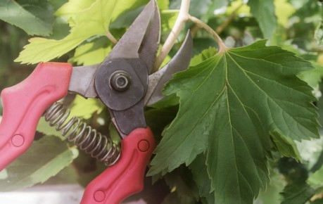 ��� ������������ ������ ������ ���������? ���������� ������ ��� ���������.