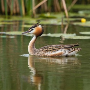 ������ 2026 ���� � ������ ����� ����� (��� ������� �������)