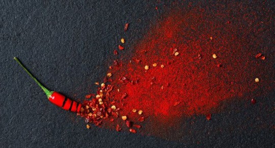 ������ ���: ��� ����� �� �������� � �������?