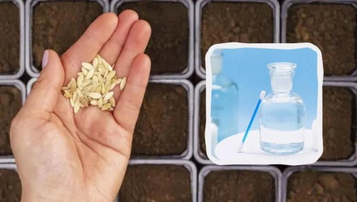 �� ������� ����������� ������ ������