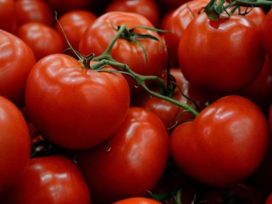 ������� ��������� �� ������ ���������