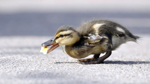 ���� ����� ������� ������, �� ���� ������