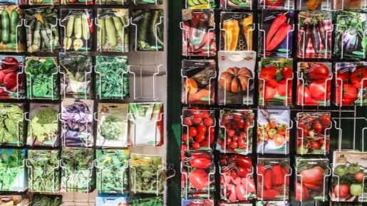 ���� �� ������ �������: ��� � ���� ��������?