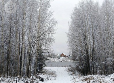 � �������� ��������� ����������� �� -35 ��������