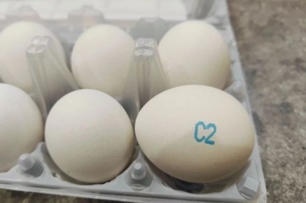 ������ �� ���������������� �� �������� ��������� � ������������