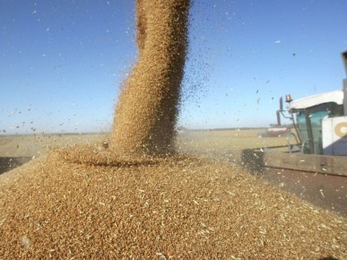 ������� � ������: ������ �������� �� ������ 2025 ����