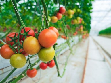 �������: ������ ������� � ������ �������