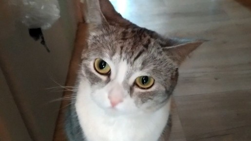 �������� ������������: ���������� ����� � ������� �������� ������