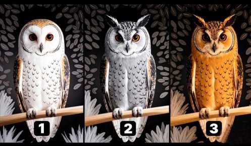 ����� ���� ���������� ���� ������� �����: ���������� ���� �� ��������