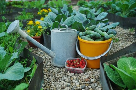 ��� ���������� �� ���: ������ �������� �� �����