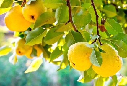 �������� ������� ��������� � ������� ��������: ��� ���������� �������