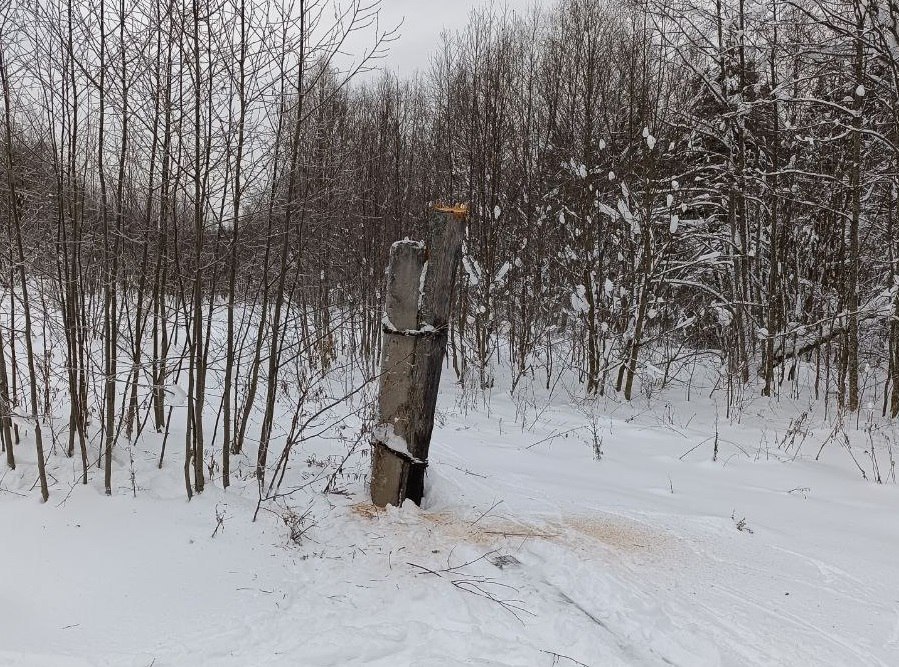 Как украсть километр проводов и попасть в историю: в Сюмсинском районе задержали пенсионера, пытавшегося похитить электропровода Как украсть километр проводов и попасть в историю: в Сюмсинском районе задержали пенсионера, пытавшегося похитить электропровода