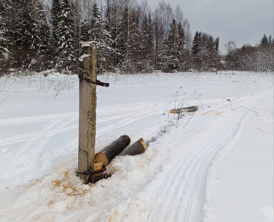 Как украсть километр проводов и попасть в историю: в Сюмсинском районе задержали пенсионера, пытавшегося похитить электропровода