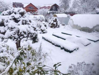 ������ ������� �������: ��� ��������� ����� � �������